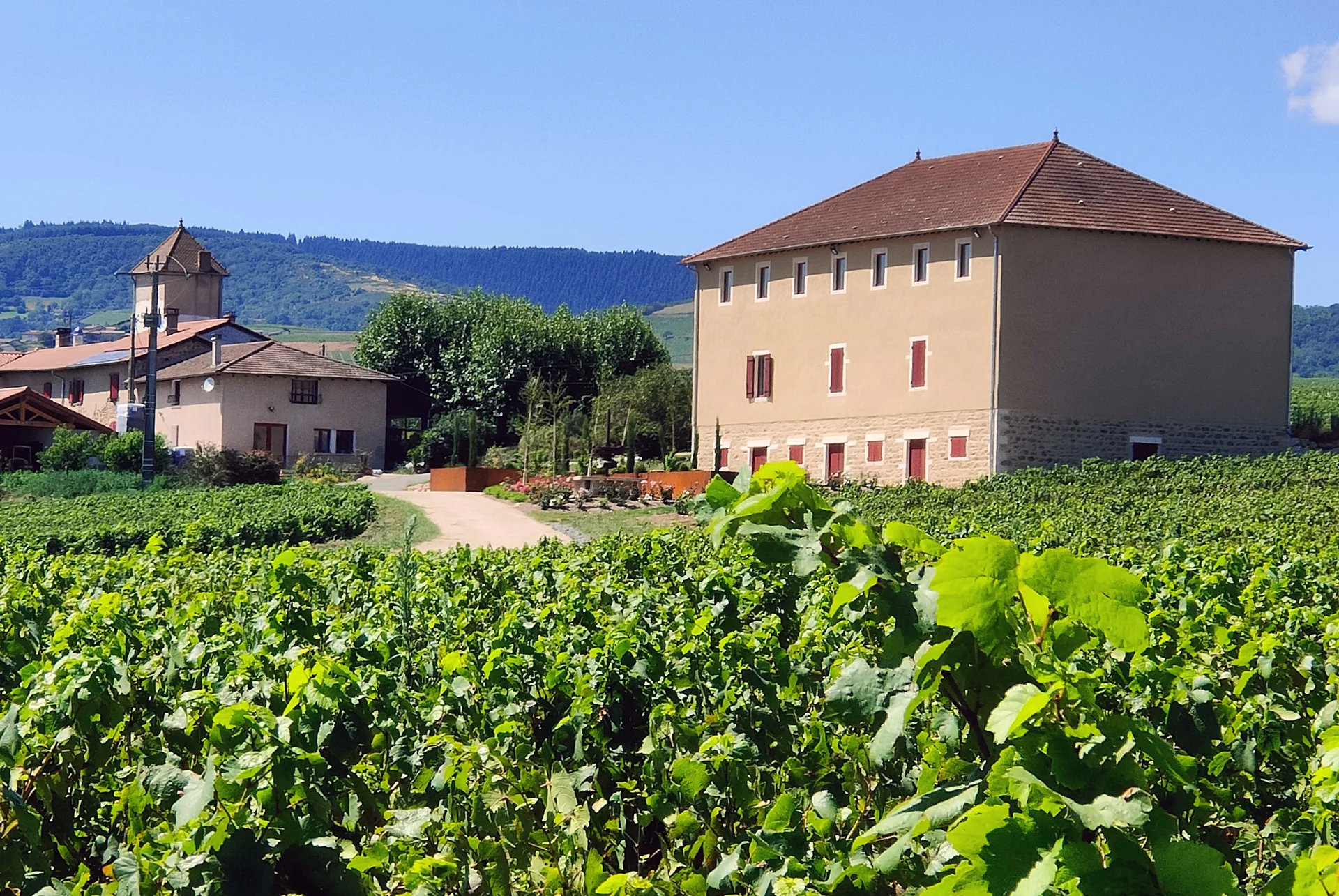 Lancement de Parfum de mystère en Beaujolais