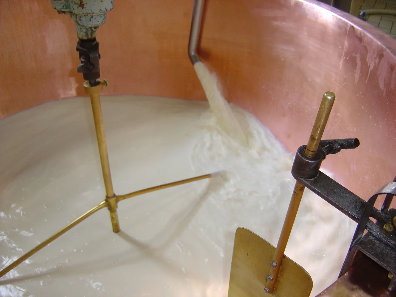 Plan Pichu. Fabrication du Beaufort. Arrivée du lait dans le chaudron.